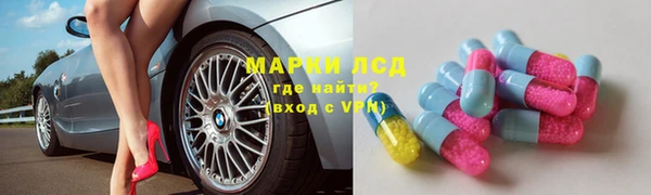 spice Богородицк